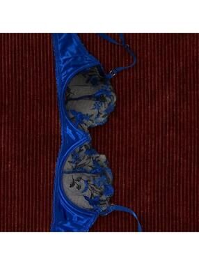 Victoria's Secret Women's Blue Bra